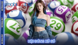 Hội đồng xổ số